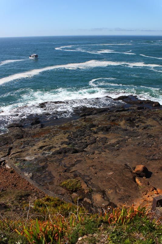 Hidden viewpoint beihind Depoe Bay's downtown