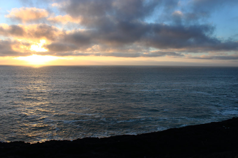 New Research on Oregon Coast Includes Kelp Beds, Seafloor Near Gold Beach 