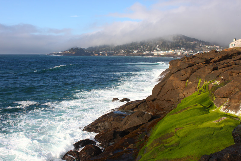 Three Weird to Wacky Facts About Depoe Bay, Central Oregon Coast 