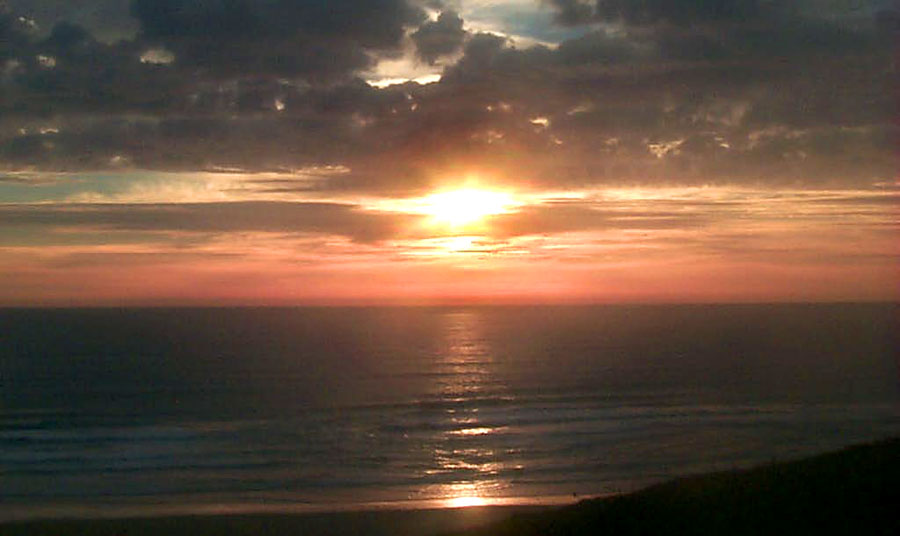 Between Edge of Central and South Oregon Coast, Florence's Killer Plants, Aerial Views, Horses