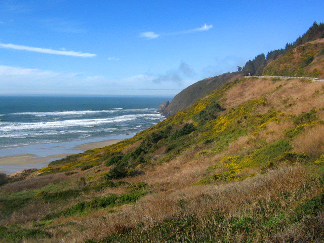 Florence Festival of Books Draws 100s of Bibliophiles to Oregon Coast in Sept