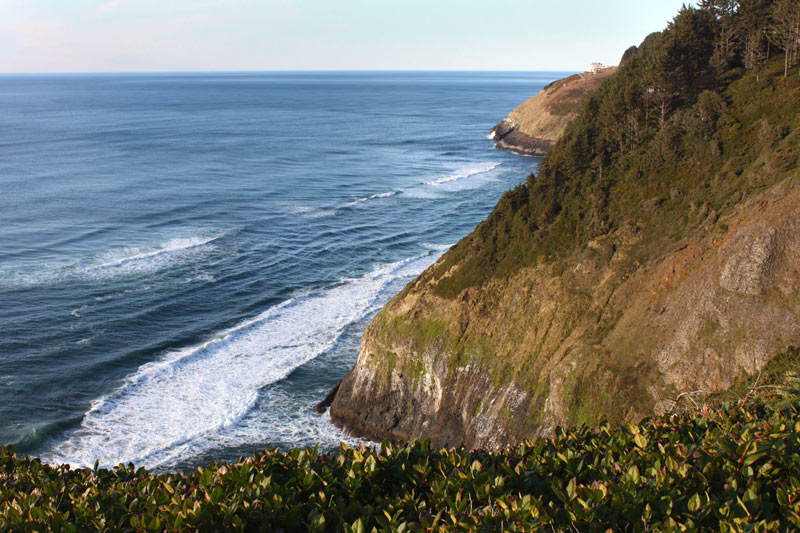 More Released About Central Oregon Coast's Florence Rhododendron Fest in May