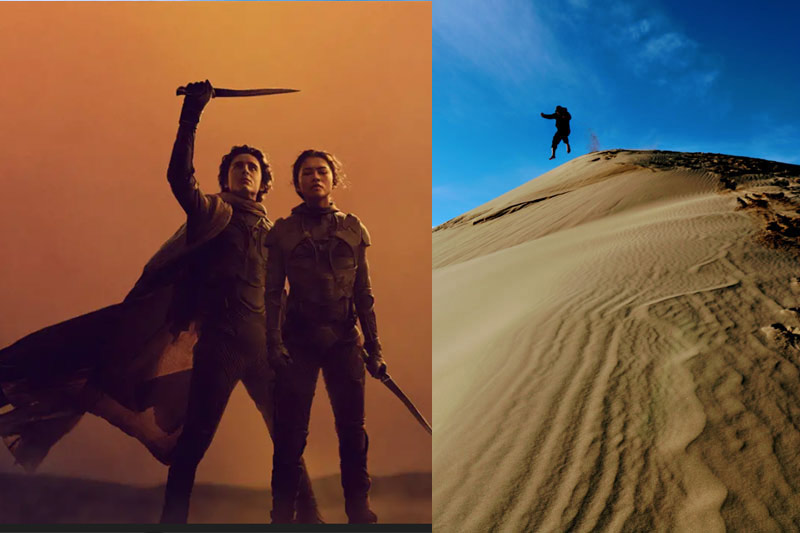Dune Novels, Movies Began with Herbert's Visit to Oregon Coast Dunes and Florence