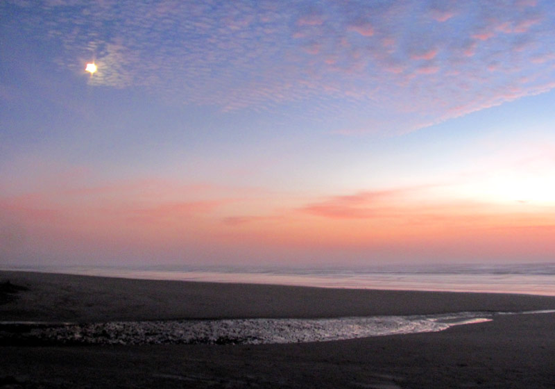 Oregon Coast Event Promises an Exploding Whale-of-a-Good Time in Nov.