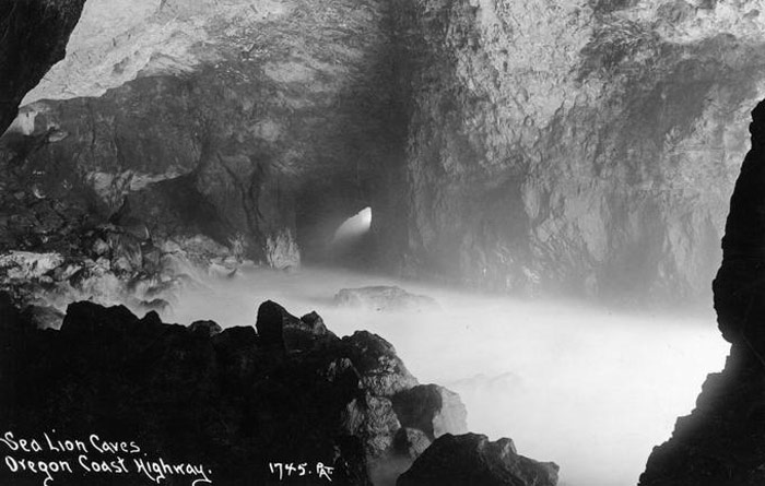 Sea Lion Caves Gives Financial Gift to Another Central Oregon Coast Attraction 