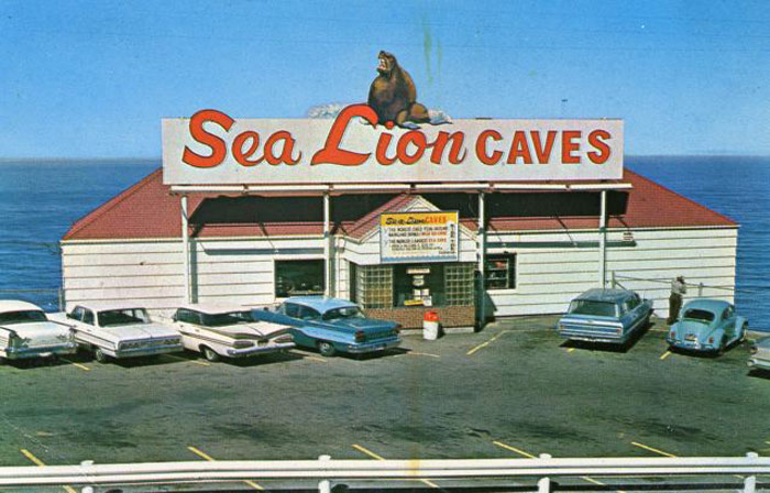 90 Years of Oregon Coast's Sea Lion Caves Celebrated at Florence's History Museum