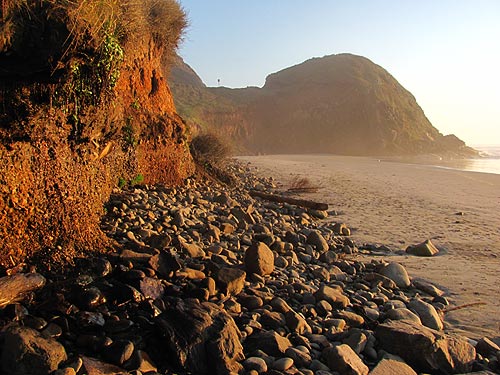 Hiding in Plain Sight: Ocean Beach Picnic Area Near Florence, Oregon Coast 