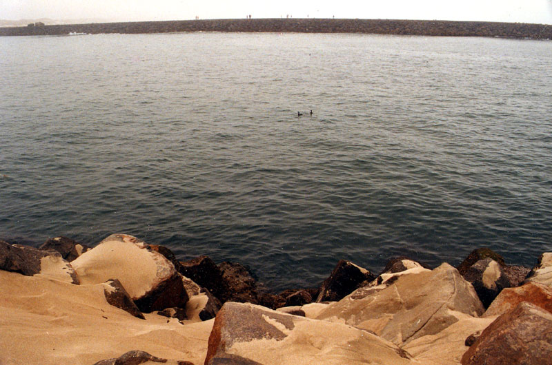 Along the North Jetty, South Jetty (& Honeyman State Park)