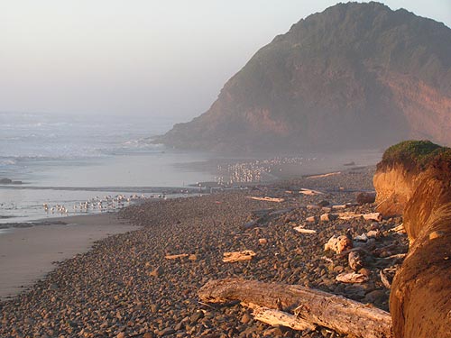 A Curious Knoll and Deserted Beach on the Central Oregon Coast: Ocean Beach Picnic Ground and Roosevelt Beach