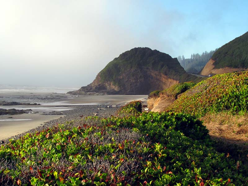 Central Oregon Coast Sandy Wonders - Fascinating Strands of Lincoln, Lane County 