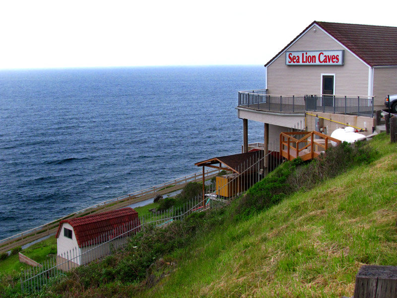 90 Years of Oregon Coast's Sea Lion Caves Celebrated at Florence's History Museum 