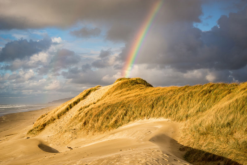 Layers Upon Layers of Oregon Coast: at Brookings, Florence, Rockaway Beach, Astoria 