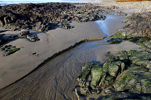 Remarkable Oregon Coast Changes: the Eating and the Fattening of Stonefield Beach State Wayside 