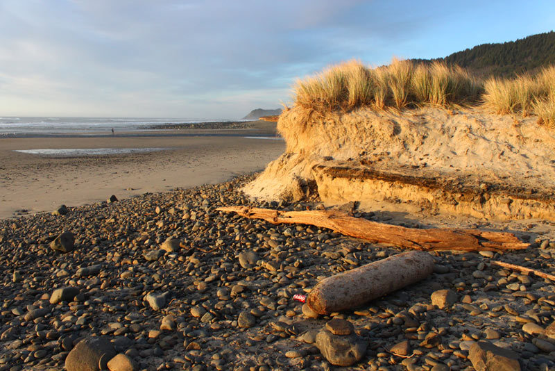 Oregon Coast Lodging Openings for Labor Holiday Scarce: Complete List