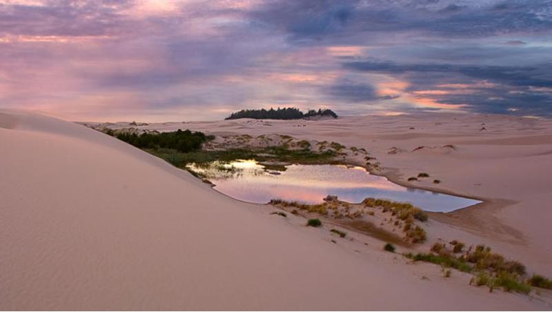 Oregon Coast Dunes National Rec Area in Trouble, Releases Video