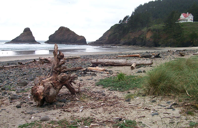 Heceta Head Scenic Viewpoint (formerly Devil's Elbow)