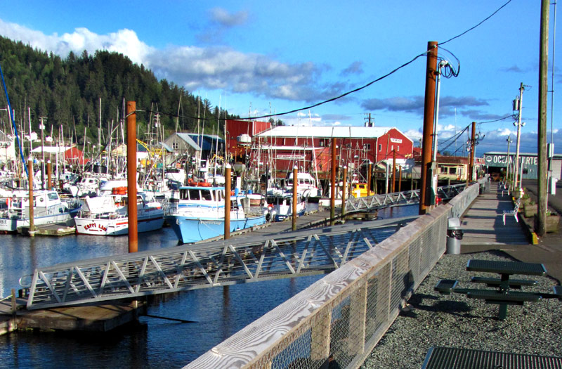 Tuna Boats are in Port Along All of Oregon Coast, Selling Straight to Consumer 