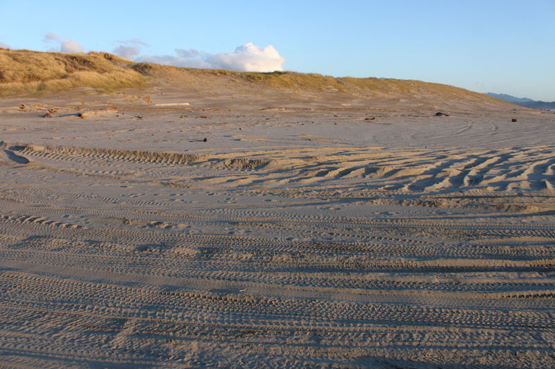 Two Major Oregon Coast State Parks Undergo Work, Some Closures