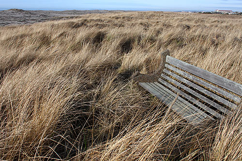 Unusual Gearhart Facts Part 2: Nature Surprises, Secret Tips of N. Oregon Coast