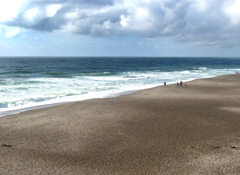 Event Opens Up Wowing Mysteries of Sand on Oregon Coast