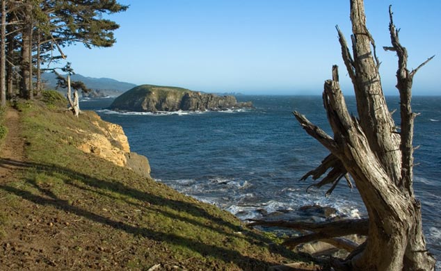 South Oregon Coast Gets Dangerous Sneaker Waves Sunday 