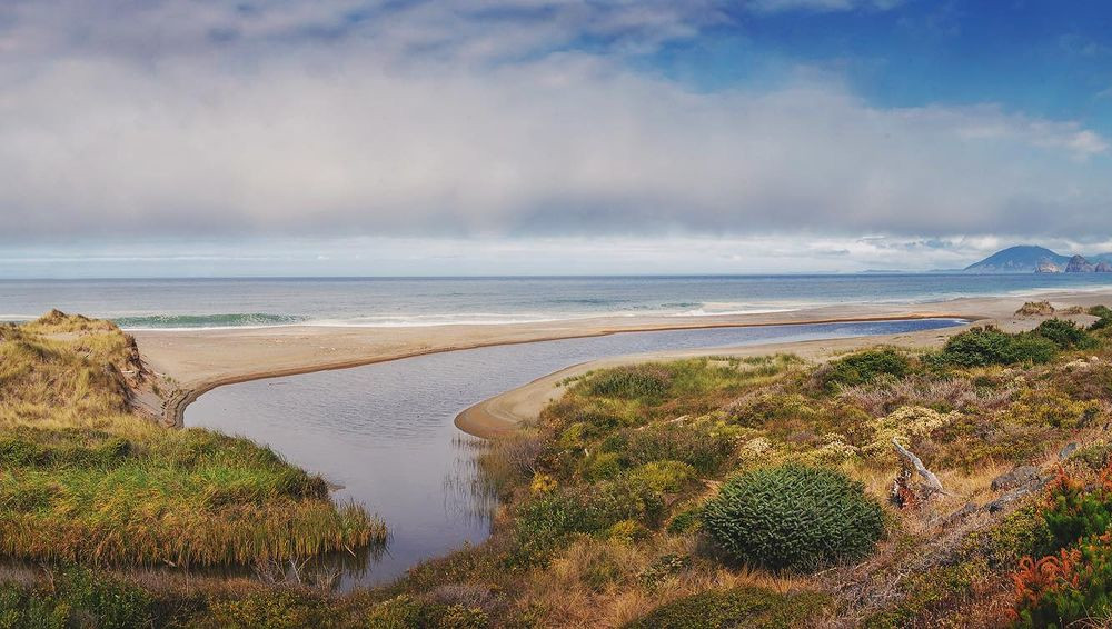 South Oregon Coast Spring Break: from Whales to Deserted Beaches