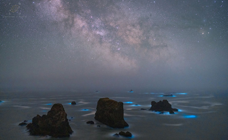 Glowing Blue Waves Light Up Southern Oregon Coast | Where to Look