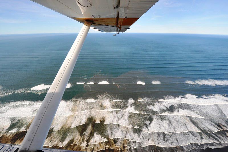 Grayland Beach State Park on Washington Coast: from Camping to Striking Sights