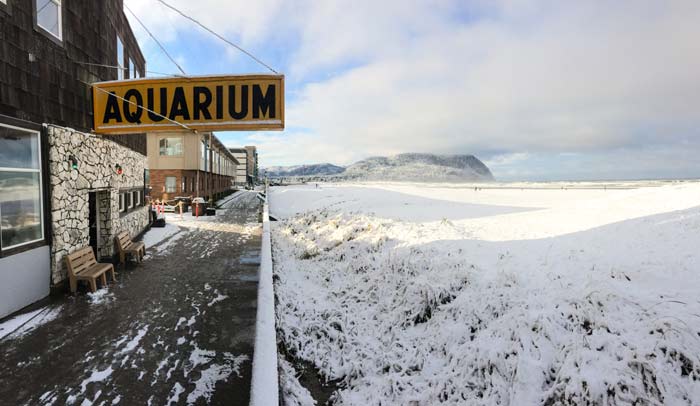 Chillin' in the Retrospect: Oregon Coast in the Snow