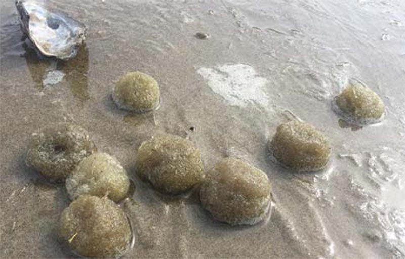 Looking Back at the Mystery of the Unusual Gooey Beach Balls Along Oregon, Canadian Coast 