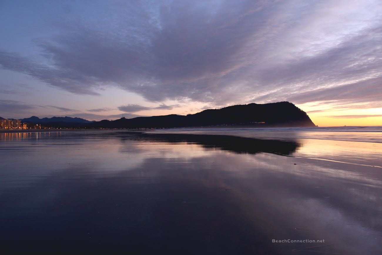 Razor Clamming Abruptly Back Open on N. Oregon Coast - Excellent Numbers, Sizes 