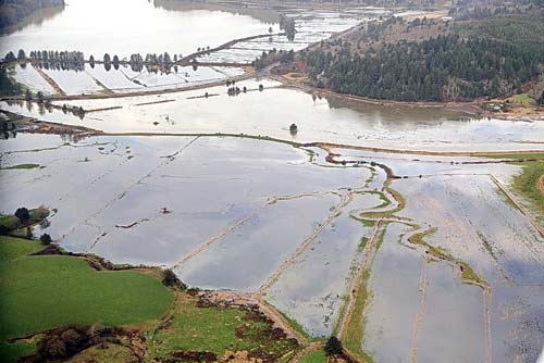 King Tides Project Needs Help from Oregon Coast Photo Aficionados