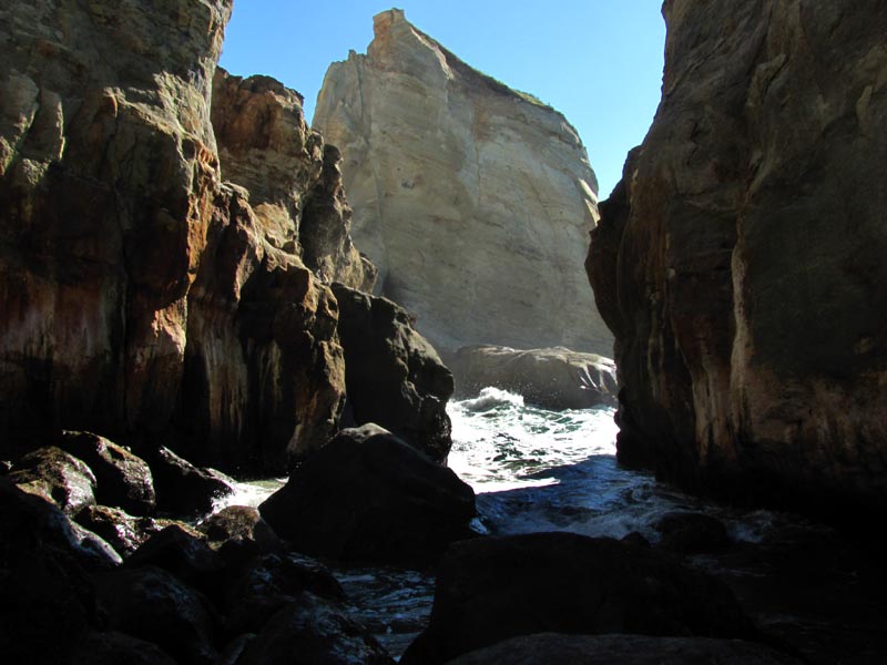 The Cool and the Ultra-Cool on Oregon Coast 