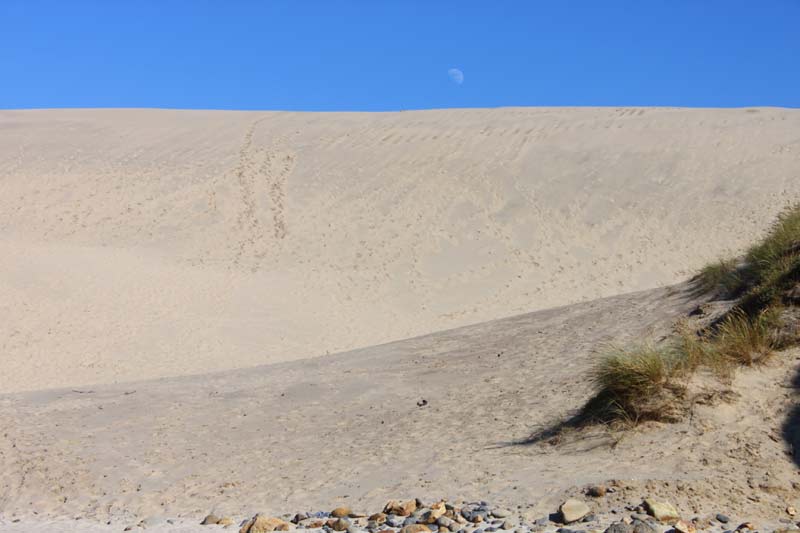 Sand dune on Oregon coast