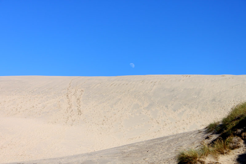 McPhillips Beach, Stunning Sights of Out-of-the-Way Oregon Coast Spot: Other Side of Cape Kiwanda