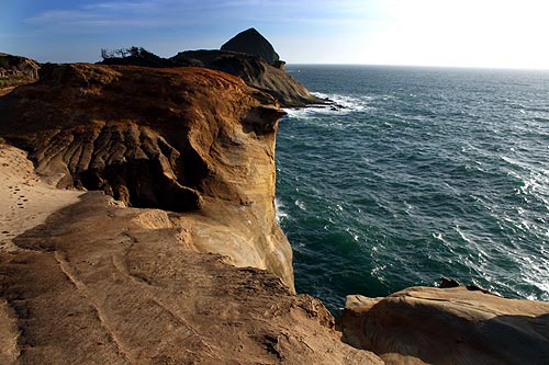 When the Shark Bites: Why and How These Attacks Happen on Oregon Coast 