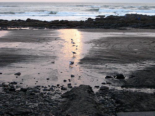 Photo: beach near the Lincoln City Cultural Center