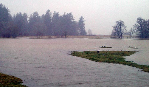 Central Oregon Coast Under Flood Watch, Along with Eugene, Willamette Valley