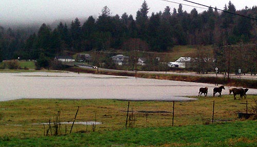 Gi-normous Waves for Oregon Coast This Week, Flood Warning