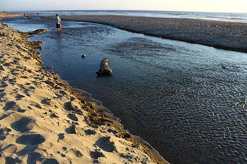 Fun and Strange Oregon Coast Facts: When More Sand Can Mean Less