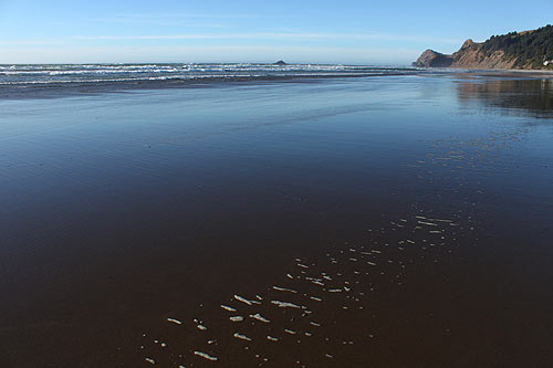 Lincoln City