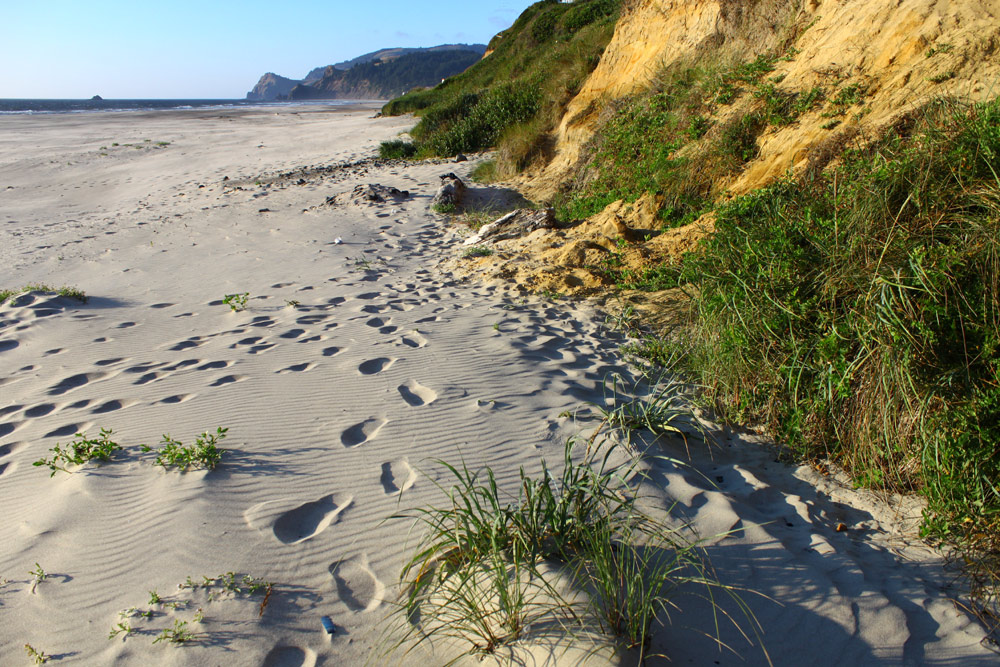 Out of the Way on Central Oregon Coast, Even in Bustling Lincoln City