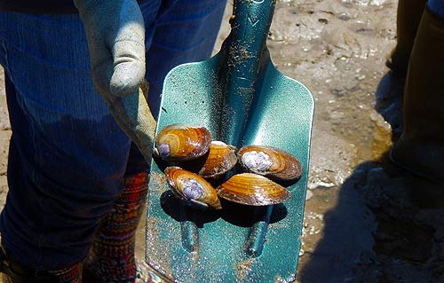 Here's your chance to be famous on TV via the Oregon coast or learn more about crabbing and clamming