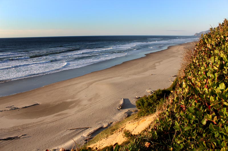 Three Bizarre Quirks of Science on the Oregon Coast: Daylight, Crabs, Lava 