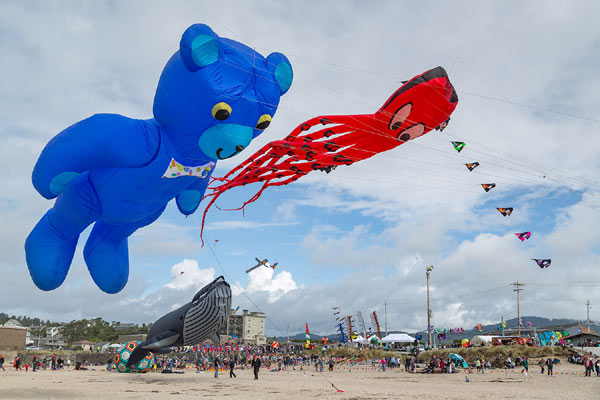 Wild Kite Abandon with Central Oregon Coast Festival in Oct 