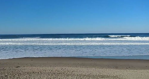 What's Up with This Oregon Coast Mini-Spring in February?