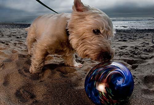 UPDATE: Glow-in-Dark Glass Floats Dropped in Oregon Coast Town for