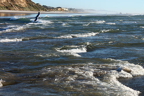 Lincoln City's Road's End State Recreation Site: Oregon Coast Wonders and Oddities 