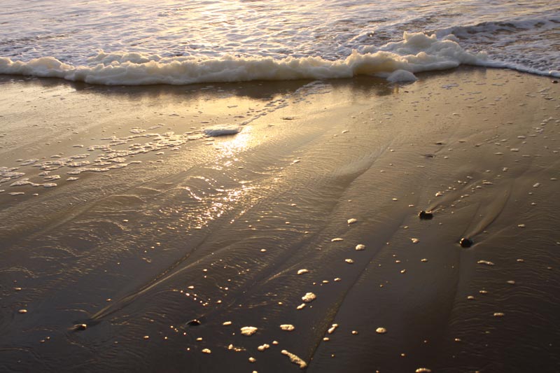 Oregon Coast Science Experts: What is Sea Foam?