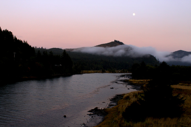 Limited Wild Coho Season Starts Soon in Four Oregon Coast River Basins